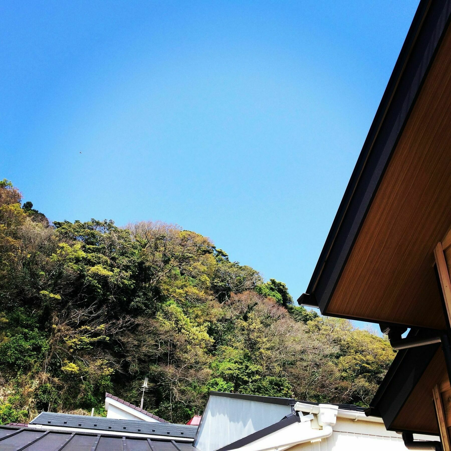 Guest House Kamakura Zen-Ji Exteriér fotografie