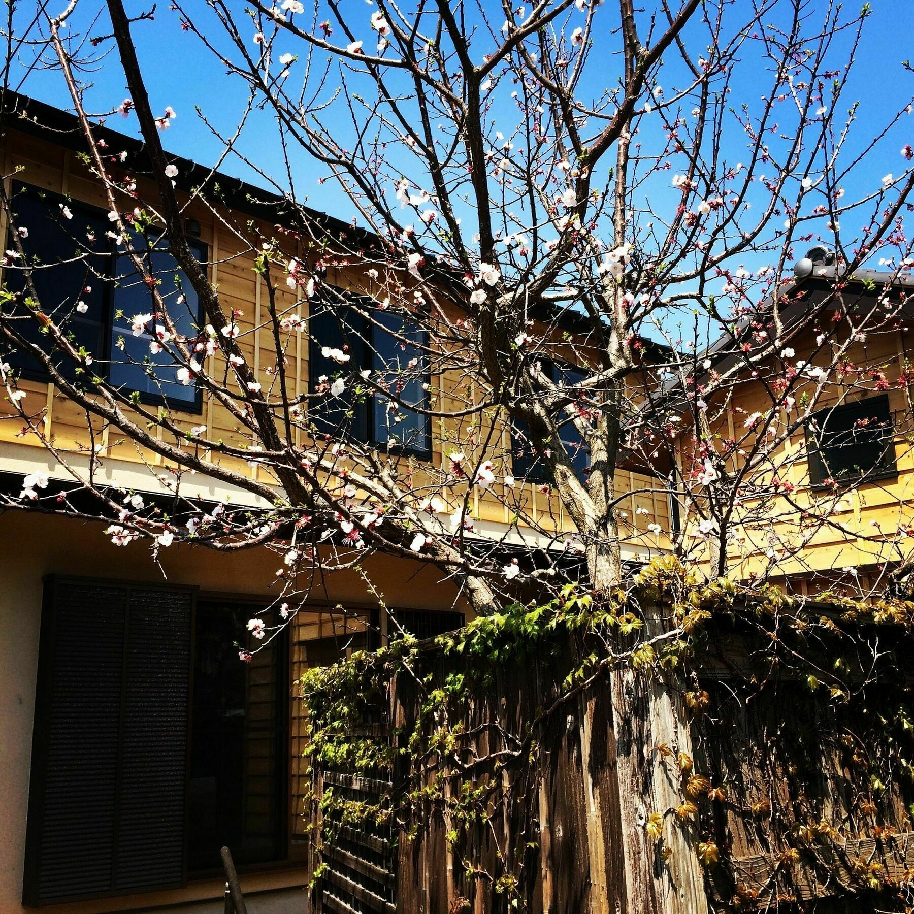 Guest House Kamakura Zen-Ji Exteriér fotografie